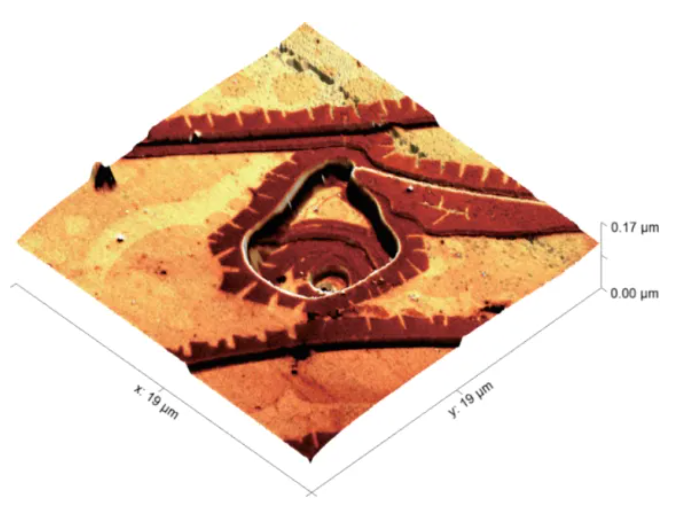 SEM 精确定位 +AFM 形貌 +3D 关联