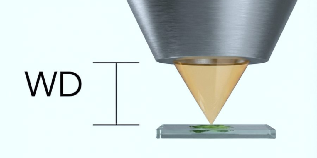 Vesta&reg; 全尺寸 SEM/FIB 版