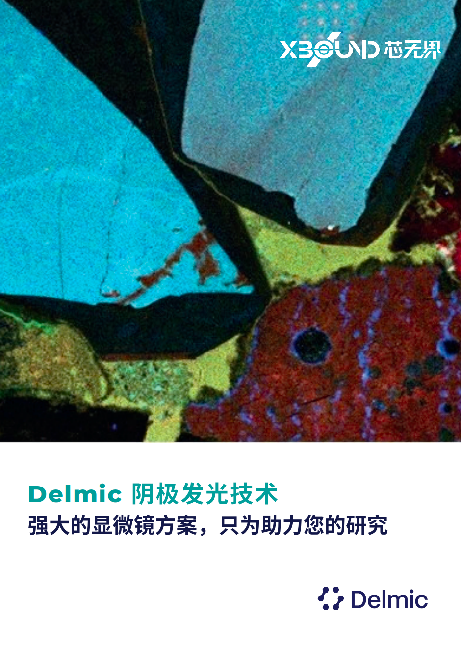 Delmic 阴极发光解决方案