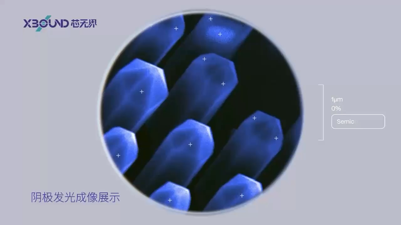 Delmic 阴极发光成像展示