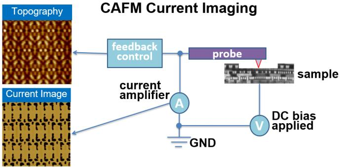 图1：C-AFM 工作原理示意图及集成电路样品的形貌与电流图像示例