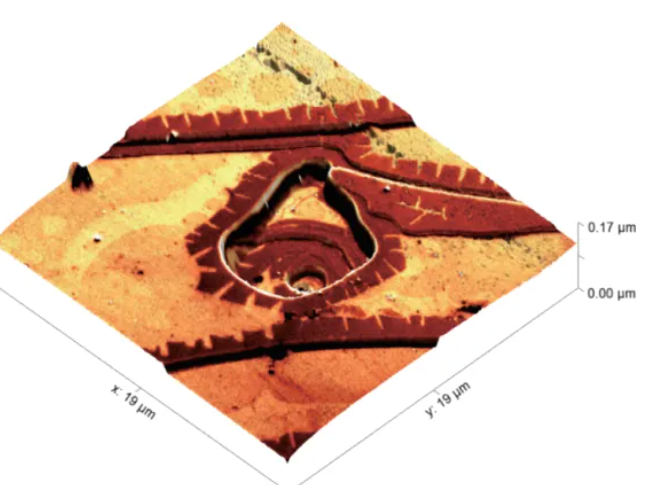 SEM 精确定位 + AFM 形貌 + 3D 关联